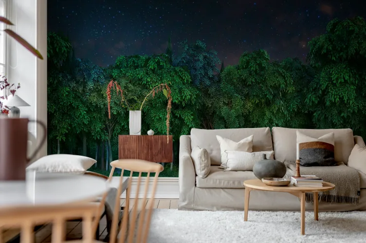 Nocturnal Forest Scene