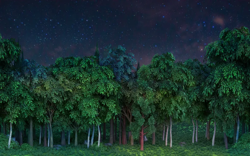 Nocturnal Forest Scene