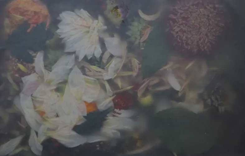 Sommerblüten