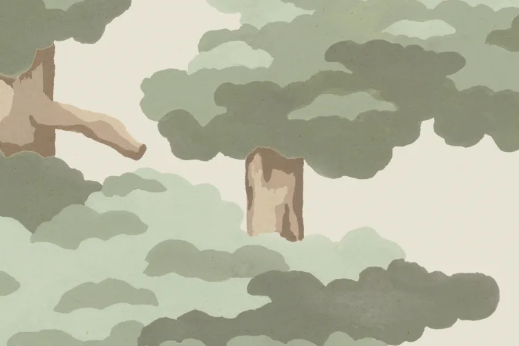 Pine Serenity
