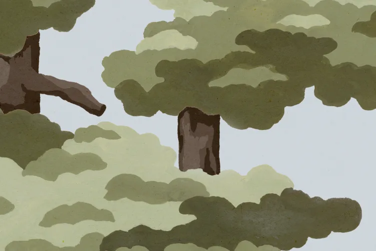 Majestic Pines