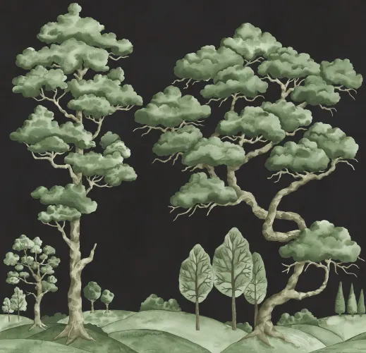 Enchanted Forest