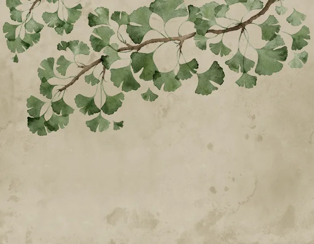 Gingko Grace