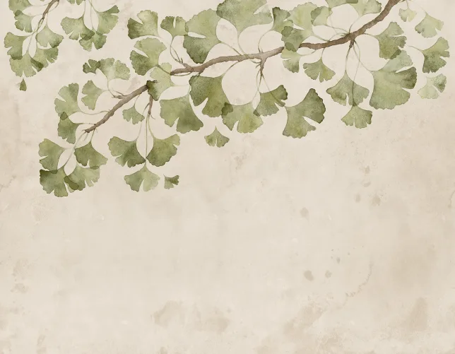 Ginkgo Grace