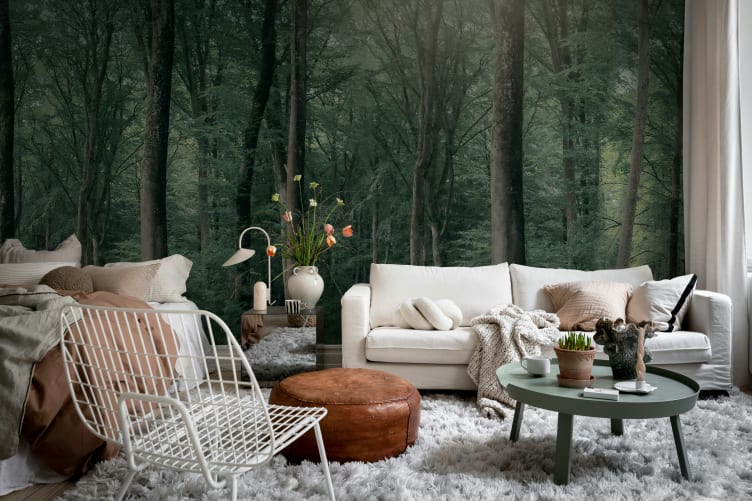 Enchanted Forest