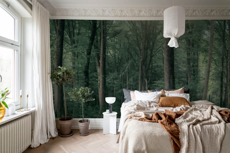 Enchanted Forest
