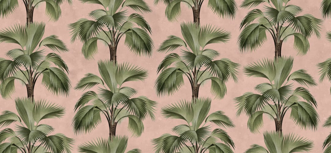 Palm Panorama