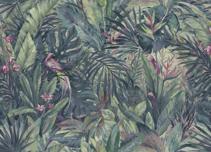 Explore a Tranquil Jungle with Elegant Birds