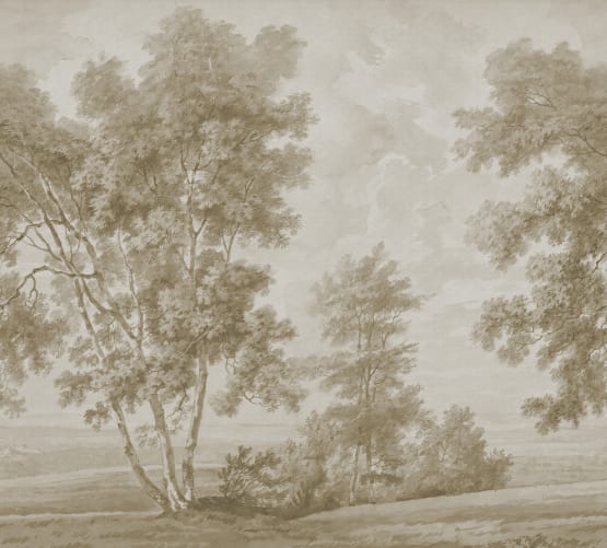 Hilltop Vista
