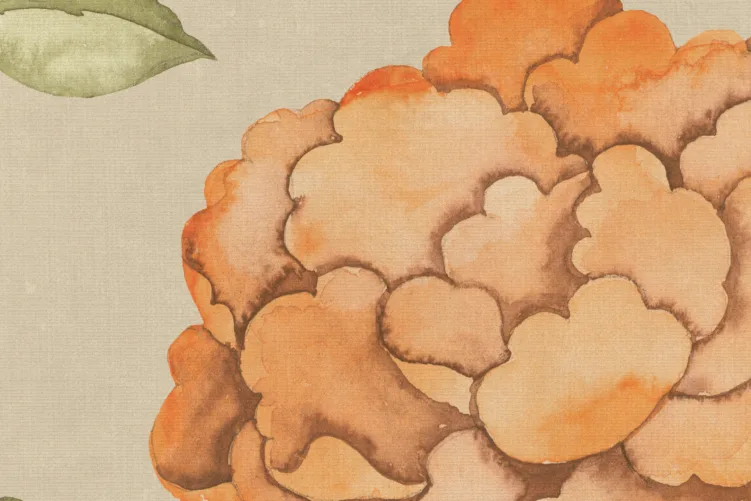 Chinoiserie Burst