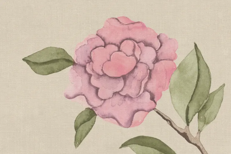 Charmerende blomsterharmoni