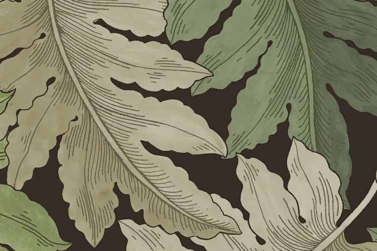 Elegant Fern Canopy