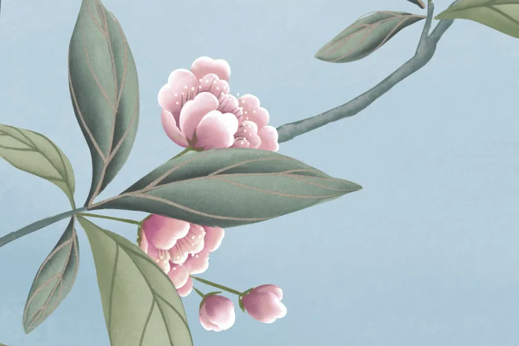 Embrace the Charm of Nature’s Ballet