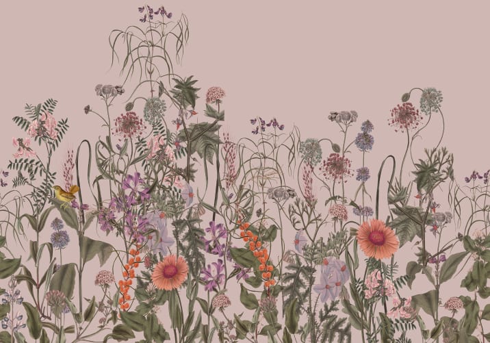 Die Natur umarmen mit Springmeadow