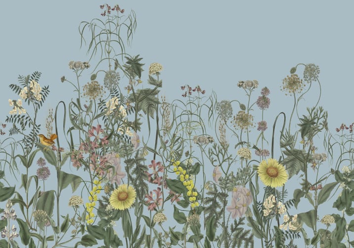 Embrace the Wild Blooms