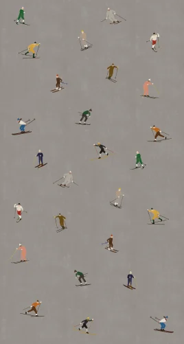 Skiing Adventure