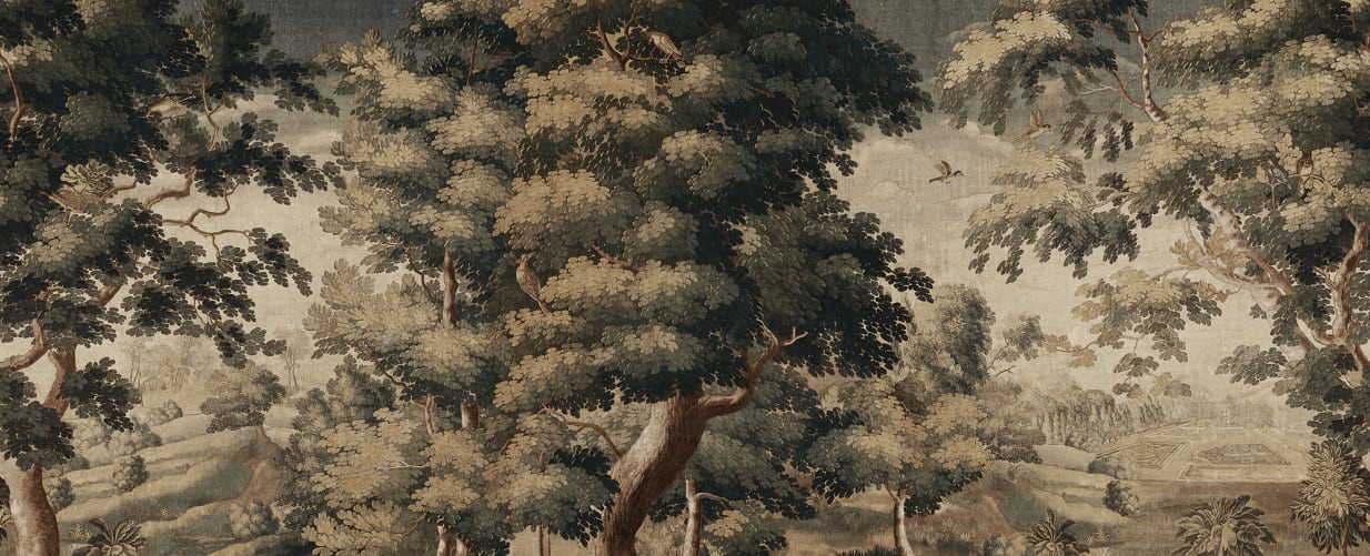 Journey Through a Timeless Woodland