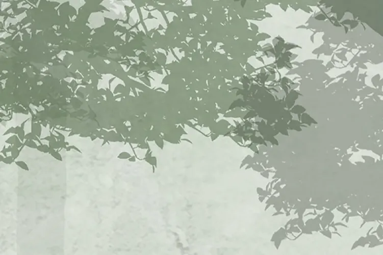 Αγκαλιάστε την ηρεμία των Silent Woods