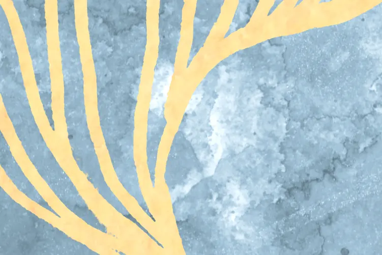Golden Drift