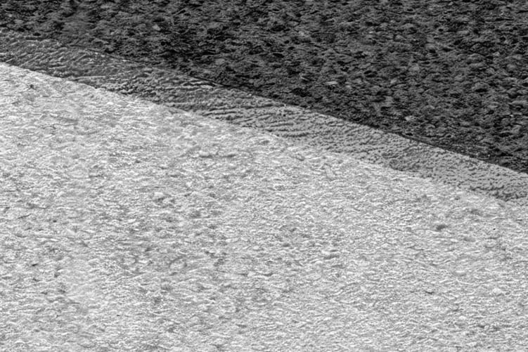 Discover the Harmony of Shapes in Gray