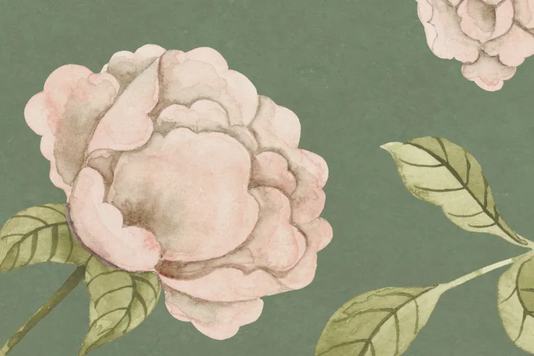 Peony Paradise