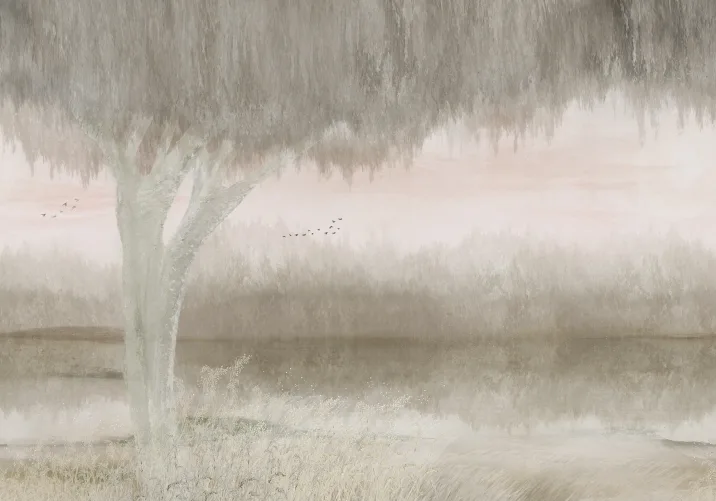 Serene Reflections