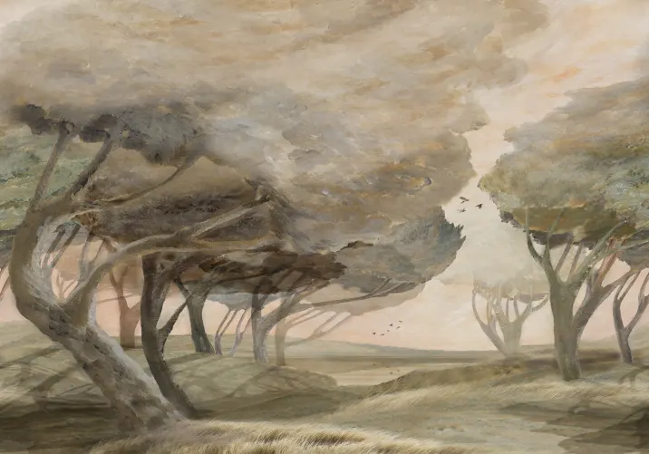 Embrace the Serenity of Windy Woods