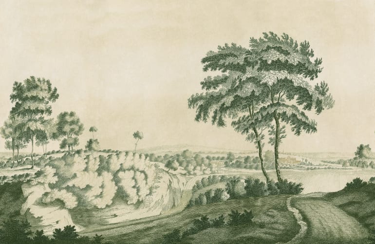 Ruhiges Grün