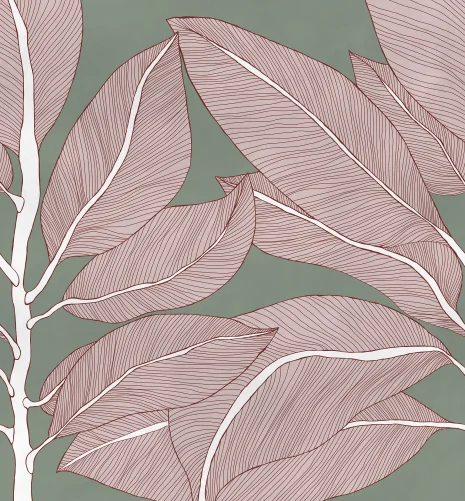 Discover Organic Elegance