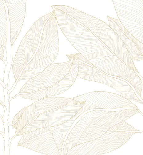Embrace Natural Elegance with Ruby Lines