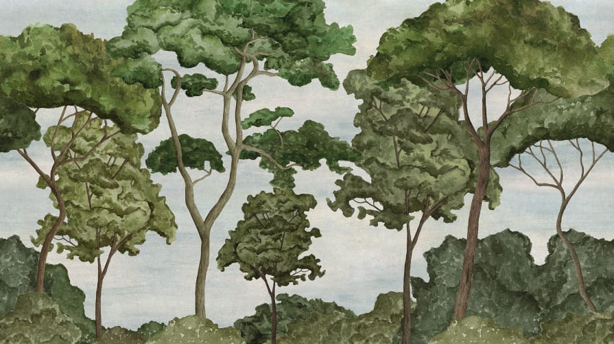 Abbraccia la Natura con Green Tree Parade