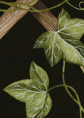 Omfavn charmen ved Ivy Trellis