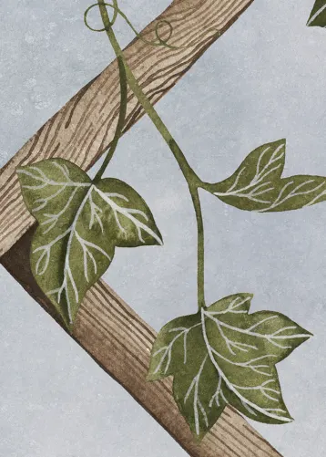 Embrace Nature with an Ivy Trellis