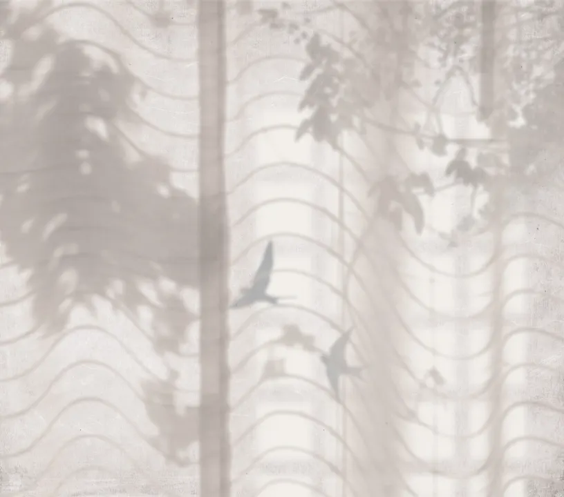 Hortus Umbra