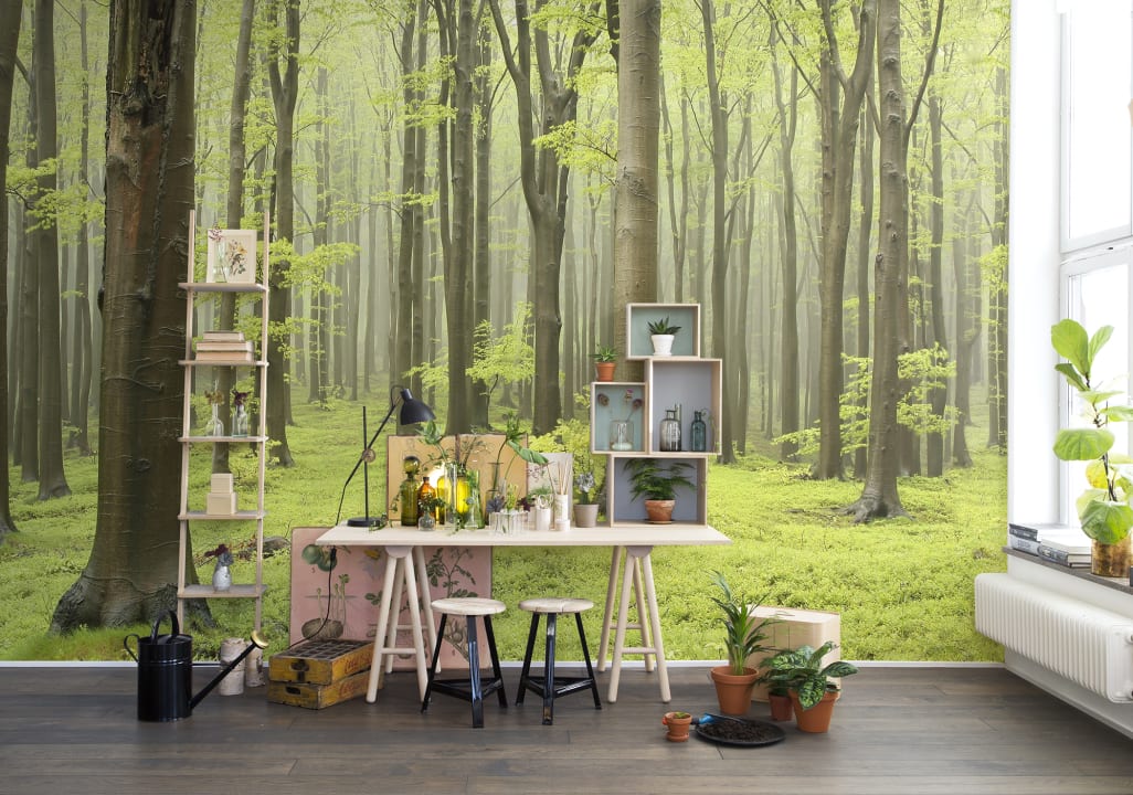 Deciduous Forest