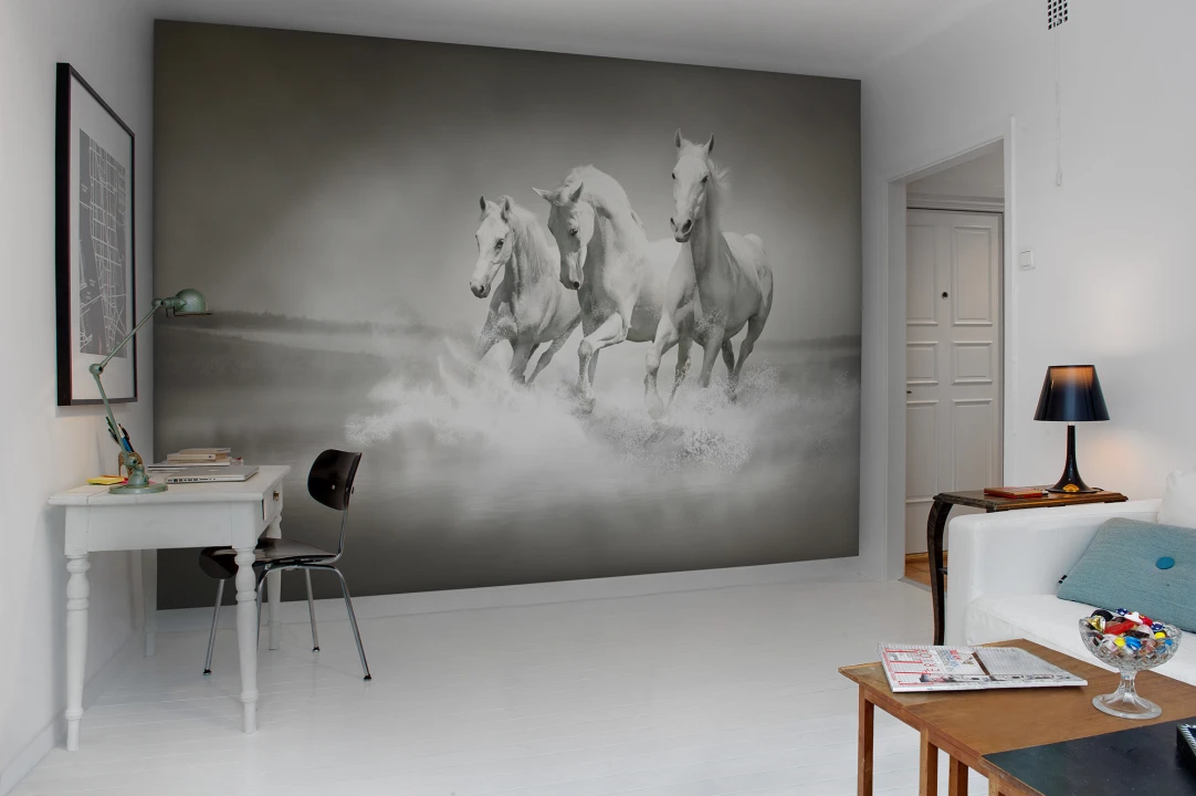 Wall mural with horses in grayscale