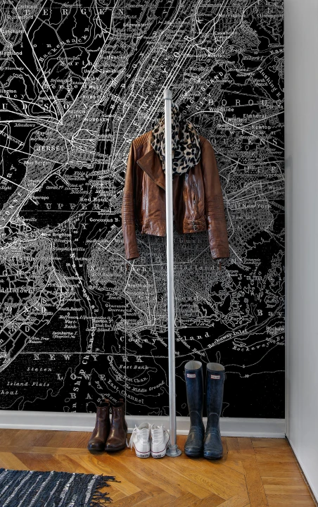 Graphic monochrome map on wall mural