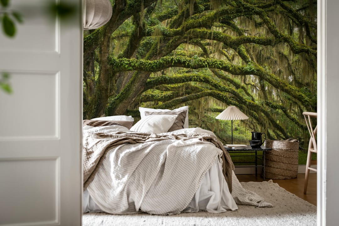 Magical Forest Wall Mural