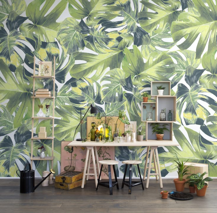 Carta da parati murale Jungle con foglie di monstera