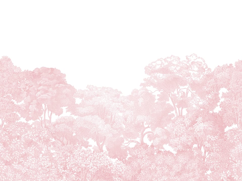 Eine rosa Tapete für Tagträumer