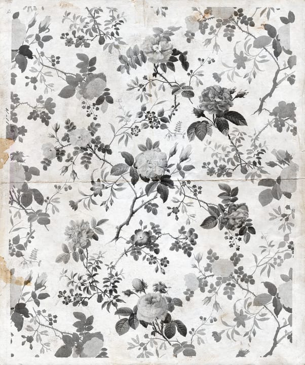 Vintage bloemenbehang met rozen in zwart en wit