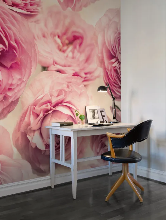 Pink roses wall mural