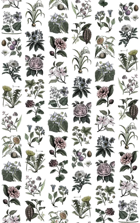 Classic flower wallpaper for the kitchen or hallway