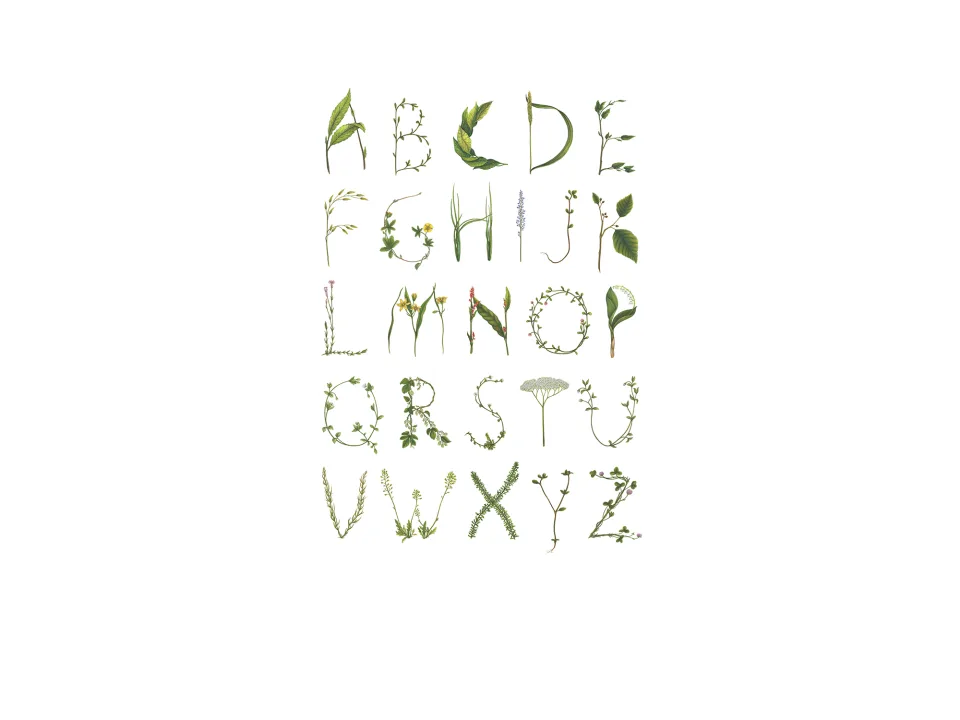 Alphabet wallpaper