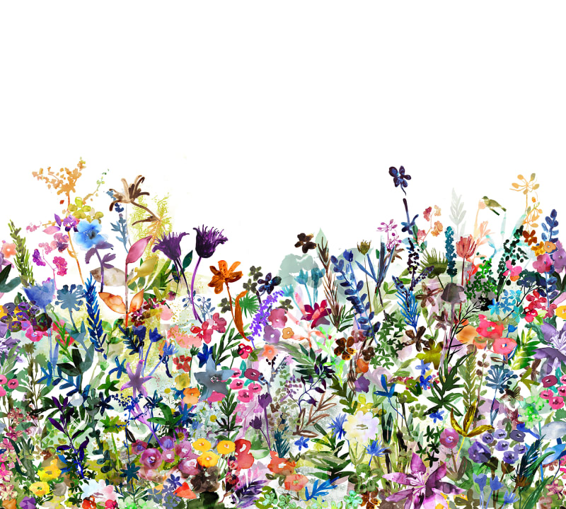 WATERCOLOR WILDFLOWER MURAL