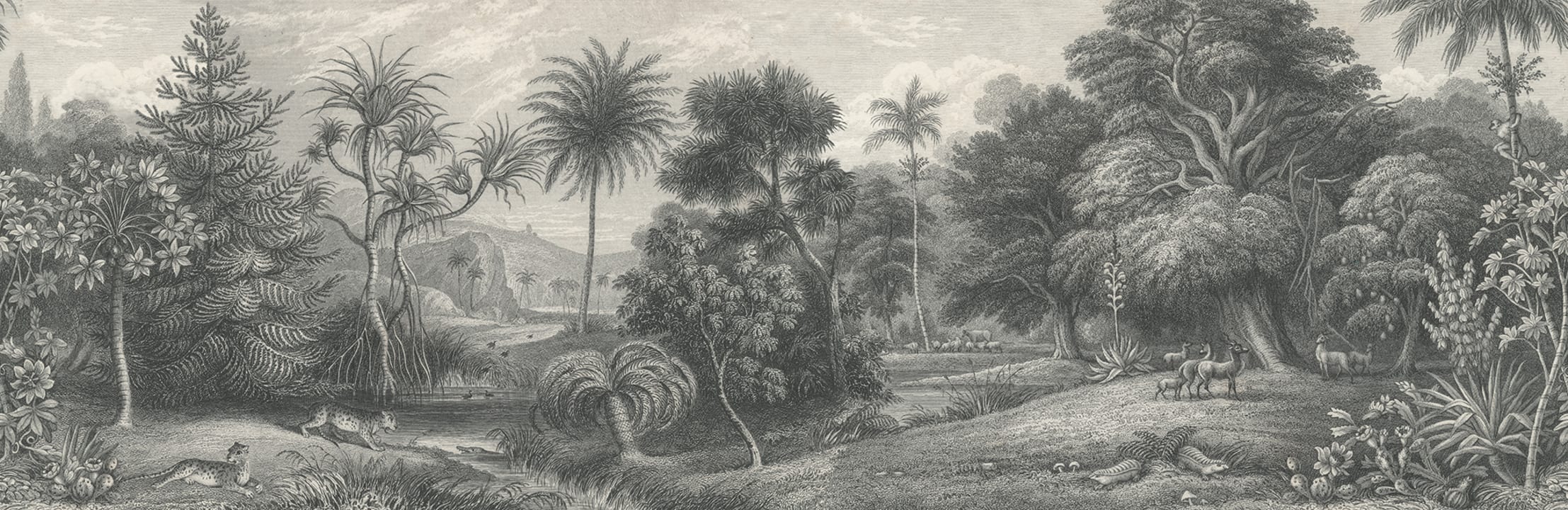 Dessin original du XIXe siècle