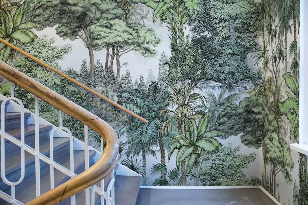 Stylized jungle