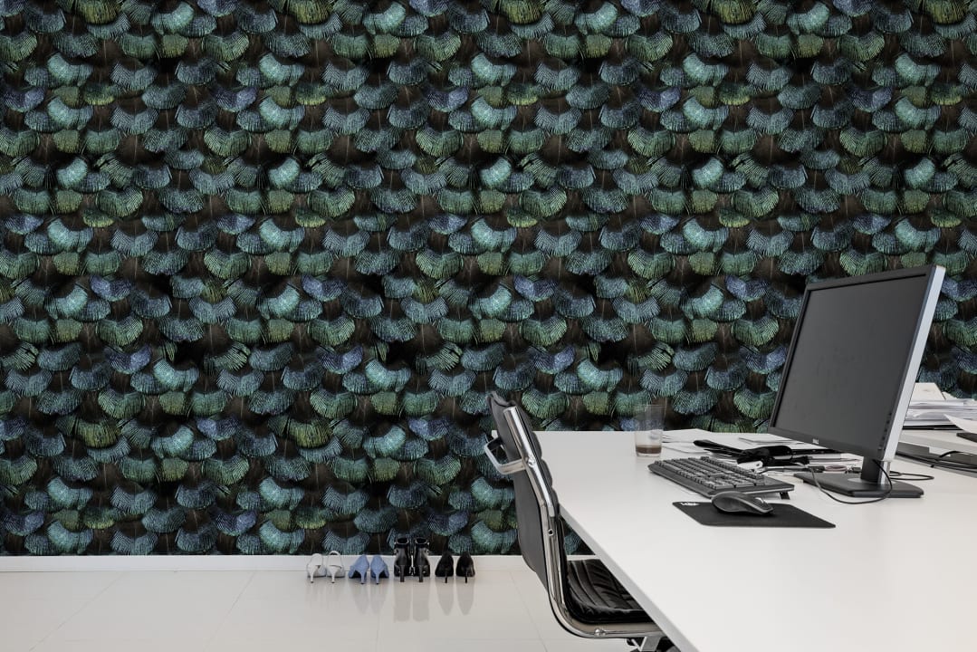 Ausdrucksstarkes Federn-Tapetendesign