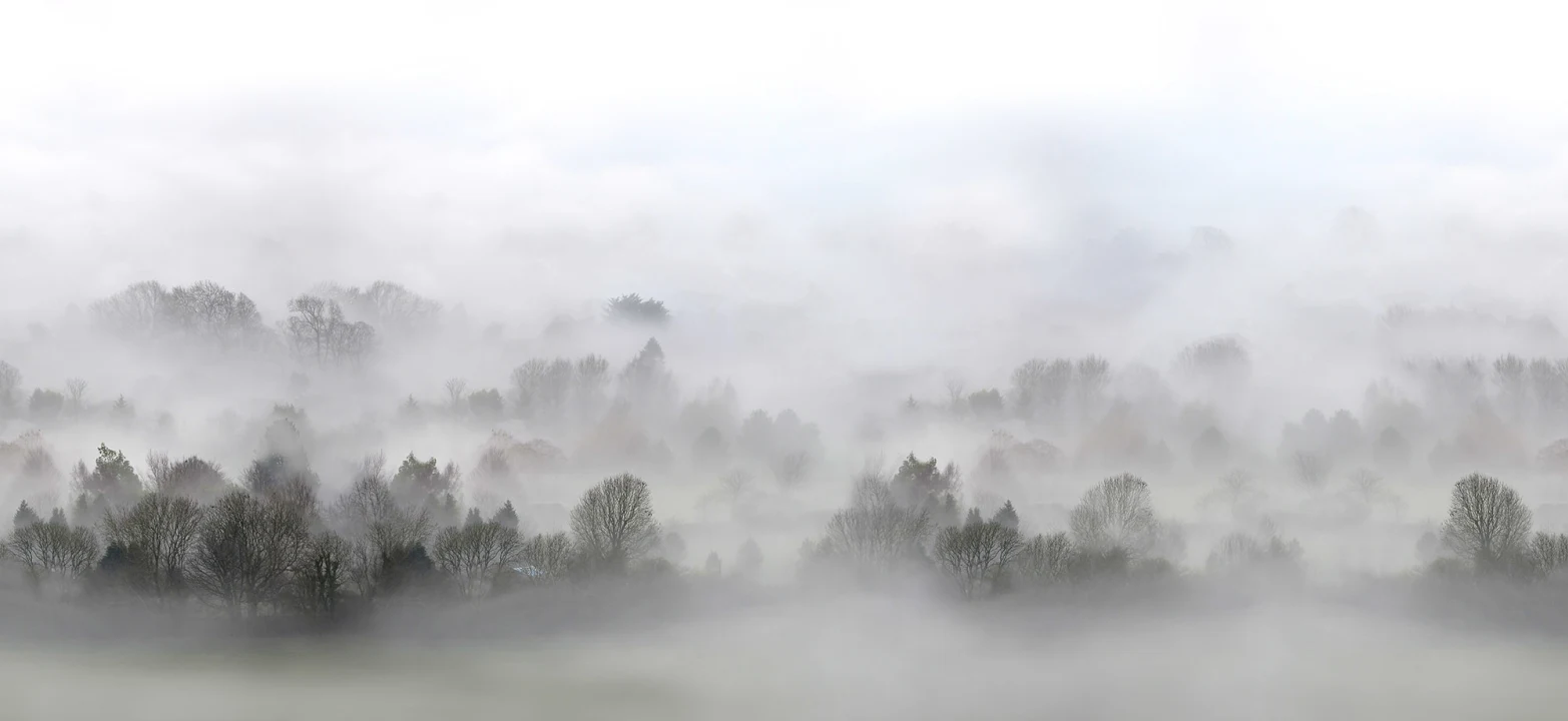 Misty morning wall mural design