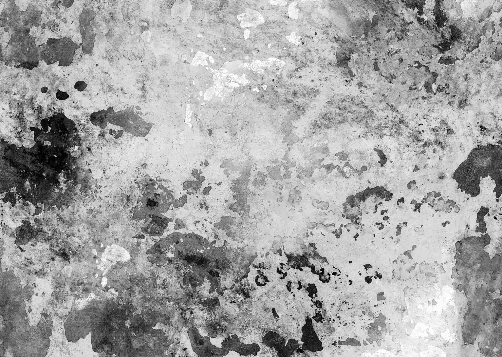 Papier peint noir décoratif